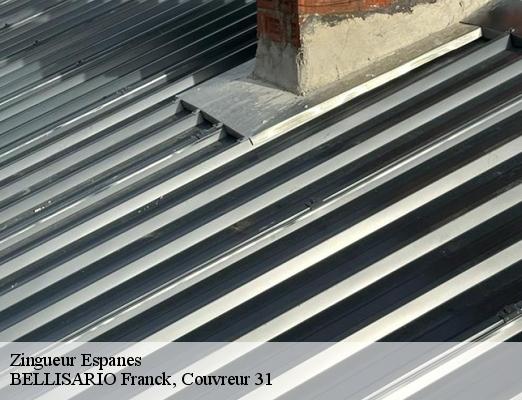 Zingueur  espanes-31450 BELLISARIO Franck, Couvreur 31