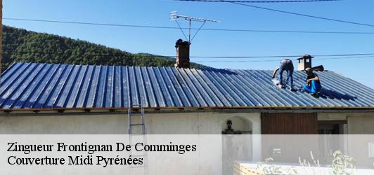 Zingueur  frontignan-de-comminges-31510 Couverture Midi Pyrénées