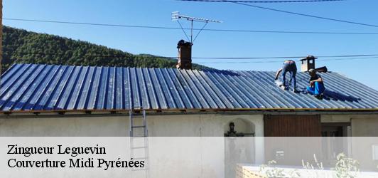 Zingueur  leguevin-31490 Couverture Midi Pyrénées
