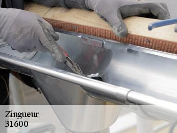 Zingueur 31600