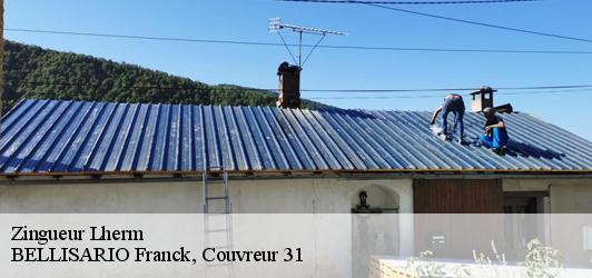 Zingueur  lherm-31600 BELLISARIO Franck, Couvreur 31