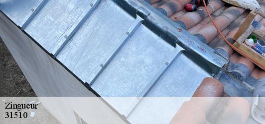 Zingueur  lourde-31510 Couverture J.T