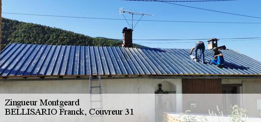 Zingueur  montgeard-31560 BELLISARIO Franck, Couvreur 31