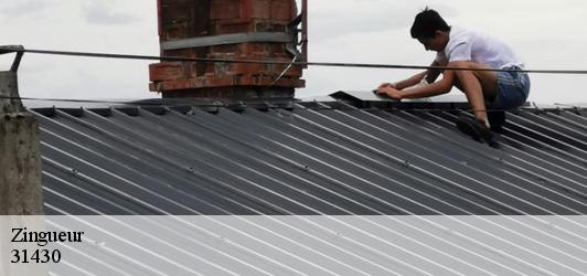 Zingueur  pouy-de-touges-31430 BELLISARIO Franck, Couvreur 31