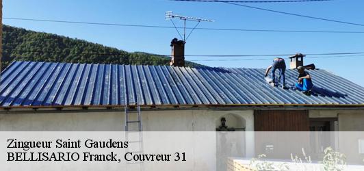 Zingueur  saint-gaudens-31800 BELLISARIO Franck, Couvreur 31