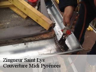Zingueur saint-lys-31470 Couverture Midi Pyrénées