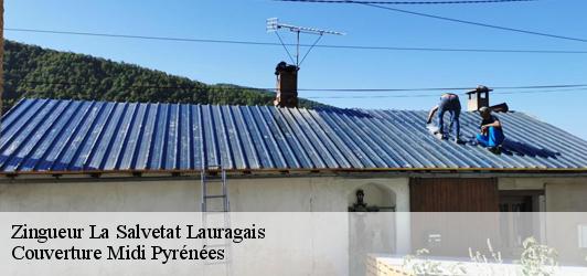 Zingueur  la-salvetat-lauragais-31460 Couverture Midi Pyrénées