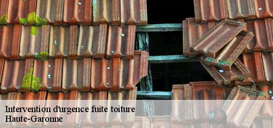 Intervention d'urgence fuite toiture  31 Haute-Garonne  Couverture J.T