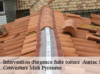 Intervention d'urgence fuite toiture auriac-sur-vendinelle-31460 Couverture Midi Pyrénées