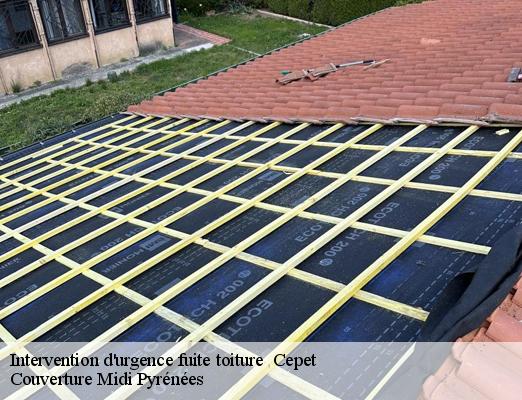 Intervention d'urgence fuite toiture   cepet-31620 Couverture Midi Pyrénées