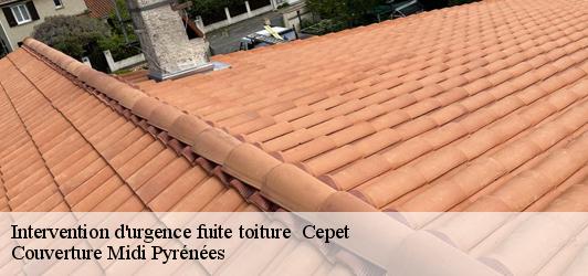 Intervention d'urgence fuite toiture   cepet-31620 Couverture Midi Pyrénées