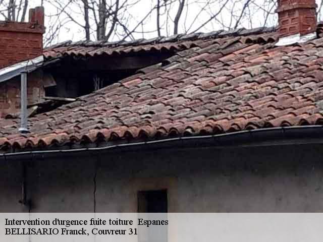 Intervention d'urgence fuite toiture   espanes-31450 BELLISARIO Franck, Couvreur 31