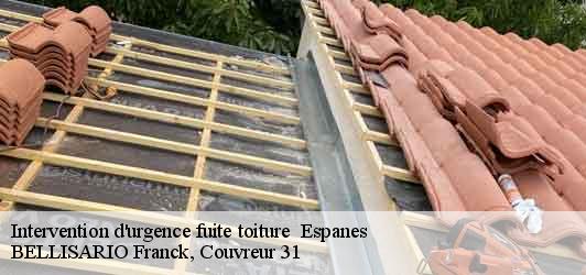 Intervention d'urgence fuite toiture   espanes-31450 BELLISARIO Franck, Couvreur 31