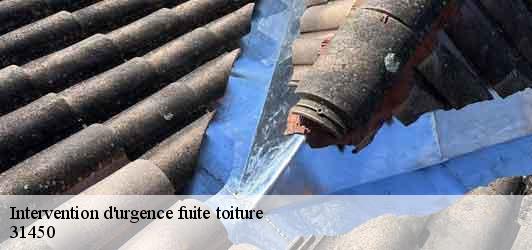 Intervention d'urgence fuite toiture   espanes-31450 BELLISARIO Franck, Couvreur 31