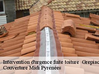 Intervention d'urgence fuite toiture   grepiac-31190 Couverture Midi Pyrénées