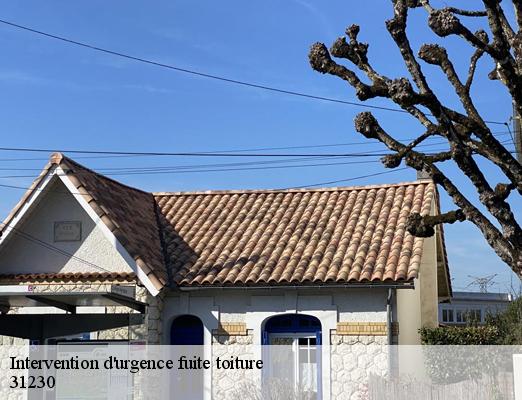 Intervention d'urgence fuite toiture 31230