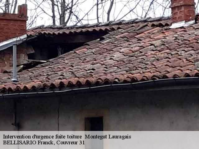 Intervention d'urgence fuite toiture   montegut-lauragais-31540 BELLISARIO Franck, Couvreur 31