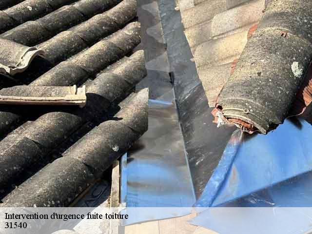 Intervention d'urgence fuite toiture   montegut-lauragais-31540 BELLISARIO Franck, Couvreur 31
