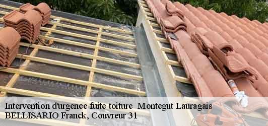 Intervention d'urgence fuite toiture   montegut-lauragais-31540 BELLISARIO Franck, Couvreur 31
