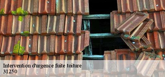 Intervention d'urgence fuite toiture   revel-31250 Couverture J.T