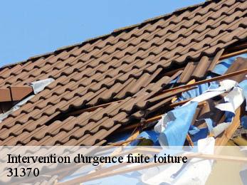 Intervention d'urgence fuite toiture   31370