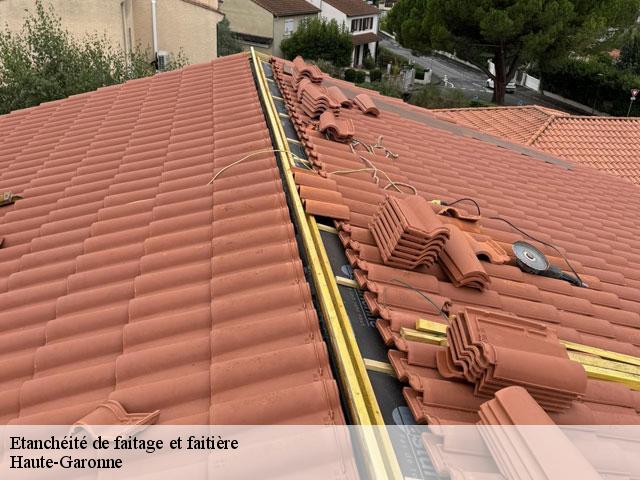 Etanchéité de faitage et faitière 31 Haute-Garonne  Couverture J.T