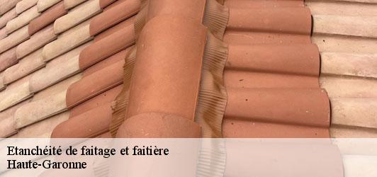 Etanchéité de faitage et faitière 31 Haute-Garonne  Couverture J.T