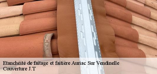 Etanchéité de faitage et faitière  auriac-sur-vendinelle-31460 Couverture J.T