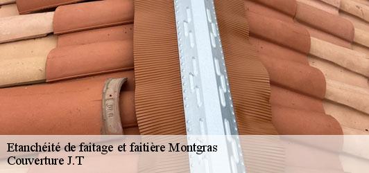 Etanchéité de faitage et faitière  montgras-31370 Couverture J.T