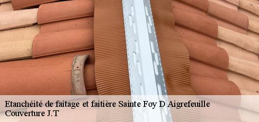 Etanchéité de faitage et faitière  sainte-foy-d-aigrefeuille-31570 Couverture J.T