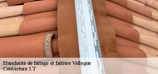 Etanchéité de faitage et faitière  vallegue-31290 Couverture J.T