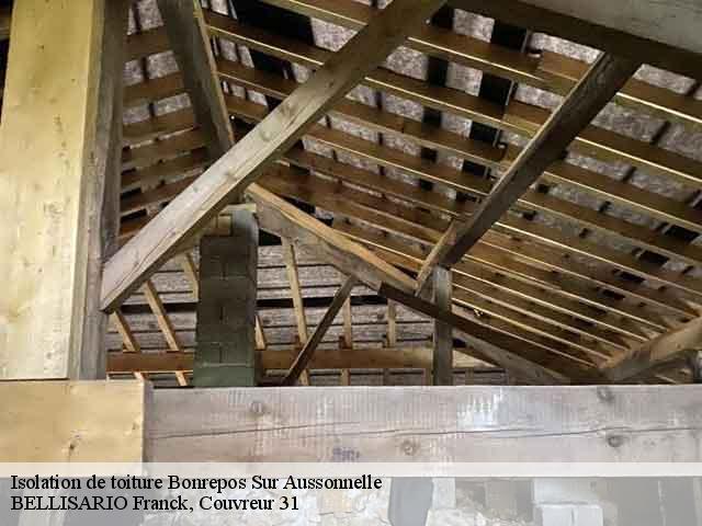Isolation de toiture bonrepos-sur-aussonnelle-31470 BELLISARIO Franck, Couvreur 31