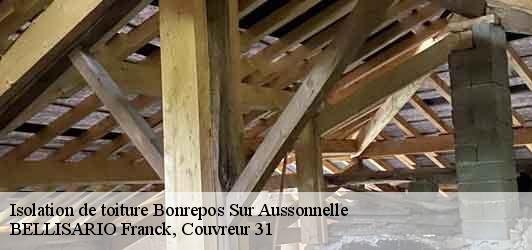 Isolation de toiture bonrepos-sur-aussonnelle-31470 BELLISARIO Franck, Couvreur 31