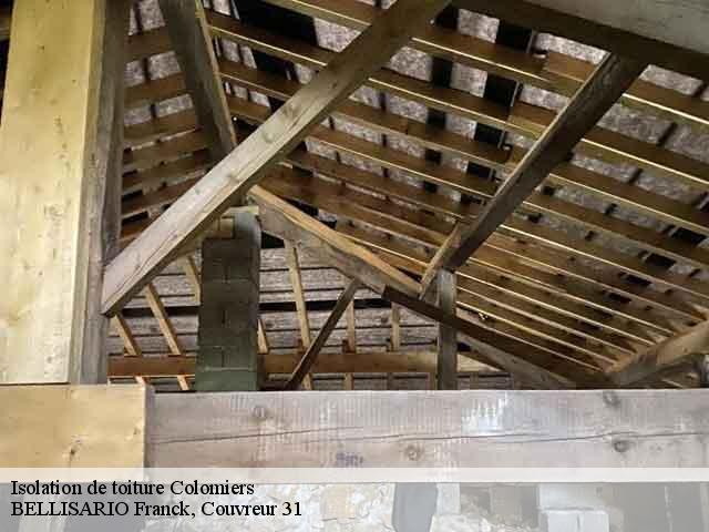 Isolation de toiture  colomiers-31770 BELLISARIO Franck, Couvreur 31