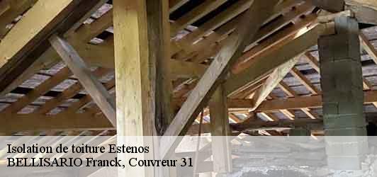 Isolation de toiture  estenos-31440 BELLISARIO Franck, Couvreur 31