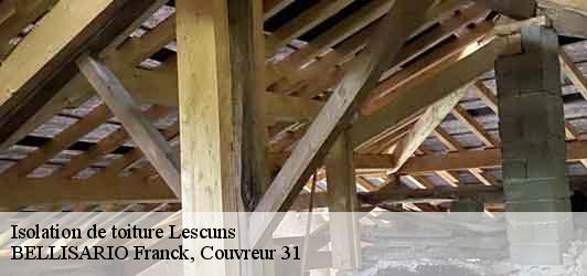 Isolation de toiture  lescuns-31220 BELLISARIO Franck, Couvreur 31