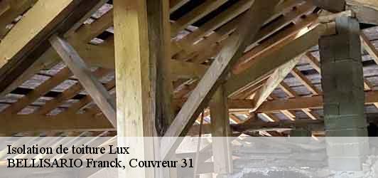 Isolation de toiture  lux-31290 BELLISARIO Franck, Couvreur 31