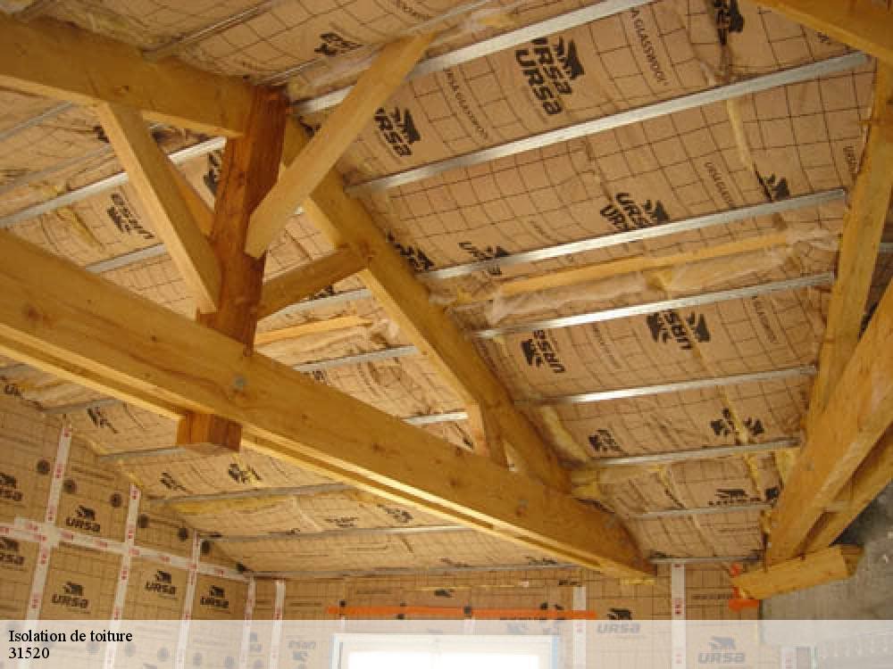 Isolation de toiture 31520