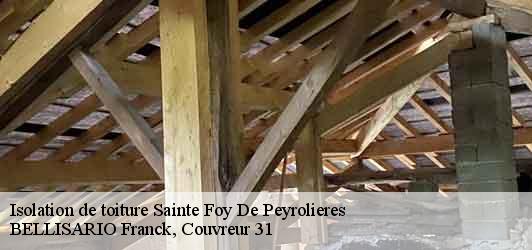 Isolation de toiture  sainte-foy-de-peyrolieres-31470 BELLISARIO Franck, Couvreur 31