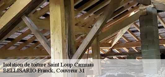 Isolation de toiture  saint-loup-cammas-31140 BELLISARIO Franck, Couvreur 31