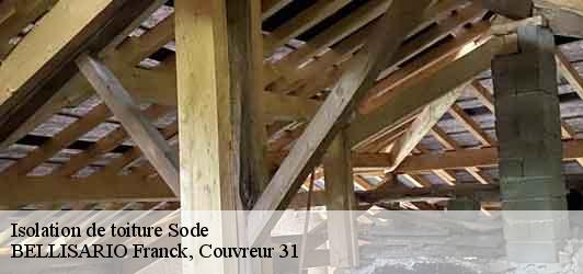 Isolation de toiture  sode-31110 BELLISARIO Franck, Couvreur 31