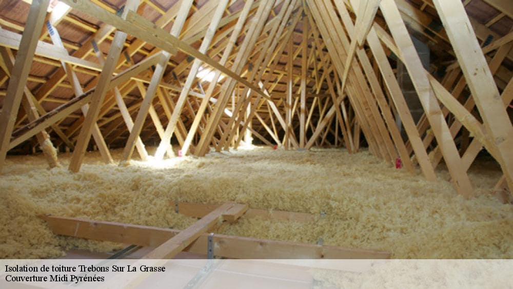 Isolation de toiture  trebons-sur-la-grasse-31290 Couverture Midi Pyrénées