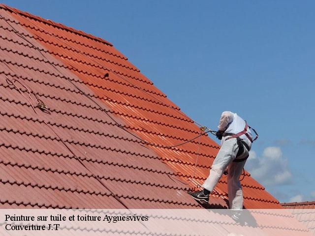 Peinture sur tuile et toiture  ayguesvives-31450 Couverture J.T