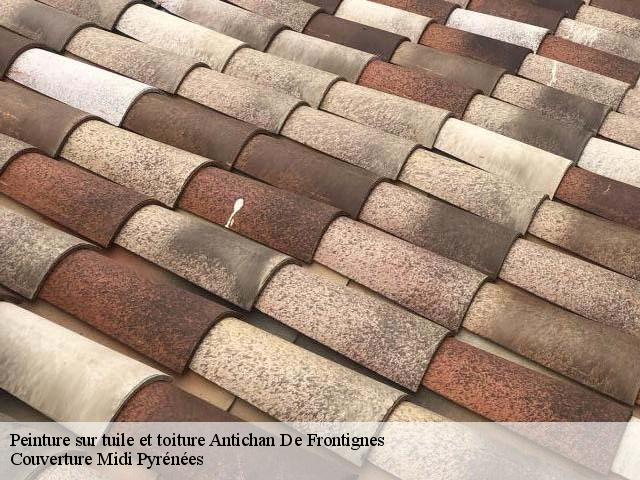 Peinture sur tuile et toiture antichan-de-frontignes-31510 Couverture Midi Pyrénées