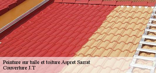 Peinture sur tuile et toiture  aspret-sarrat-31800 Couverture J.T