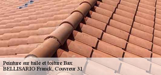 Peinture sur tuile et toiture  bax-31310 BELLISARIO Franck, Couvreur 31