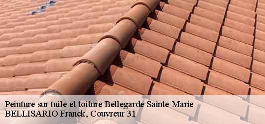 Peinture sur tuile et toiture  bellegarde-sainte-marie-31530 BELLISARIO Franck, Couvreur 31
