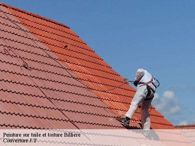 Peinture sur tuile et toiture  billiere-31110 Couverture J.T