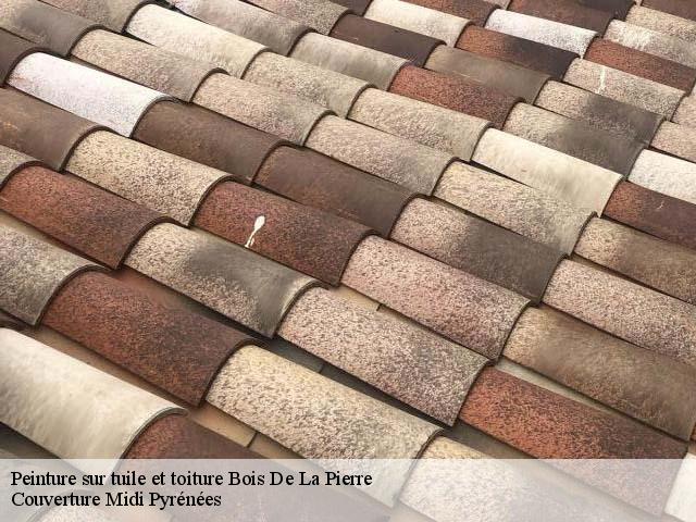 Peinture sur tuile et toiture  bois-de-la-pierre-31390 Couverture Midi Pyrénées