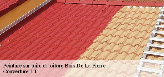 Peinture sur tuile et toiture  bois-de-la-pierre-31390 Couverture J.T